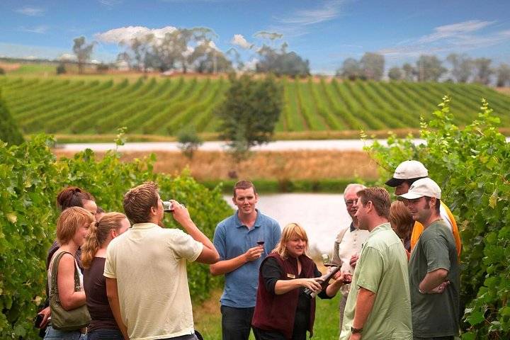 yarra-valley-winery-tour